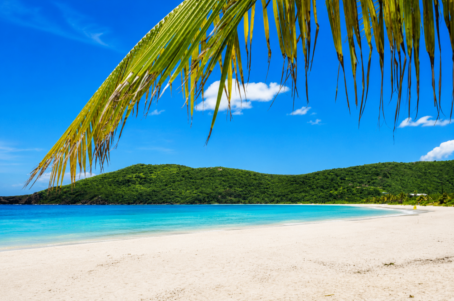 Flamenco Beach and El Muellecito 2