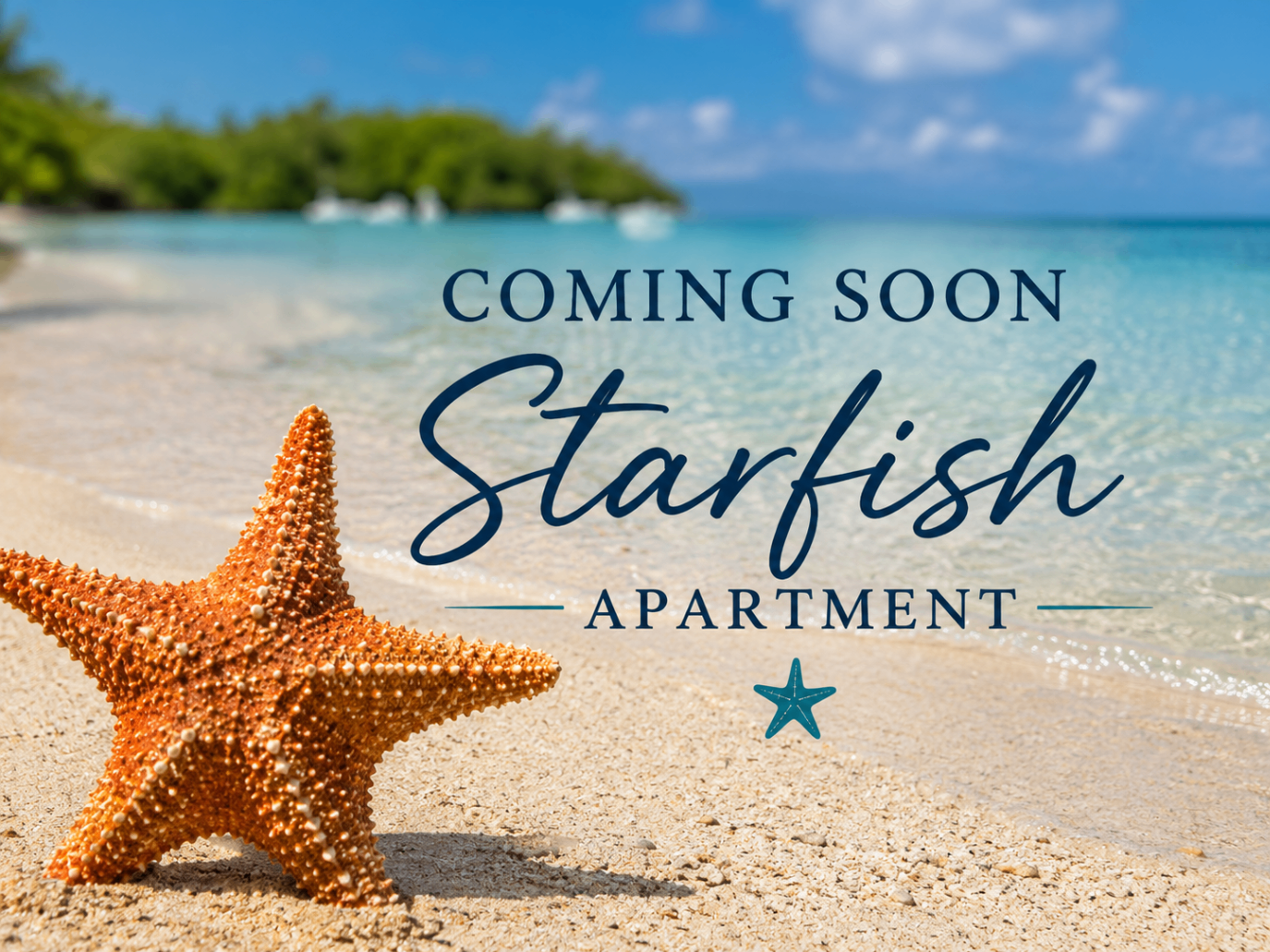Starfish Apartment