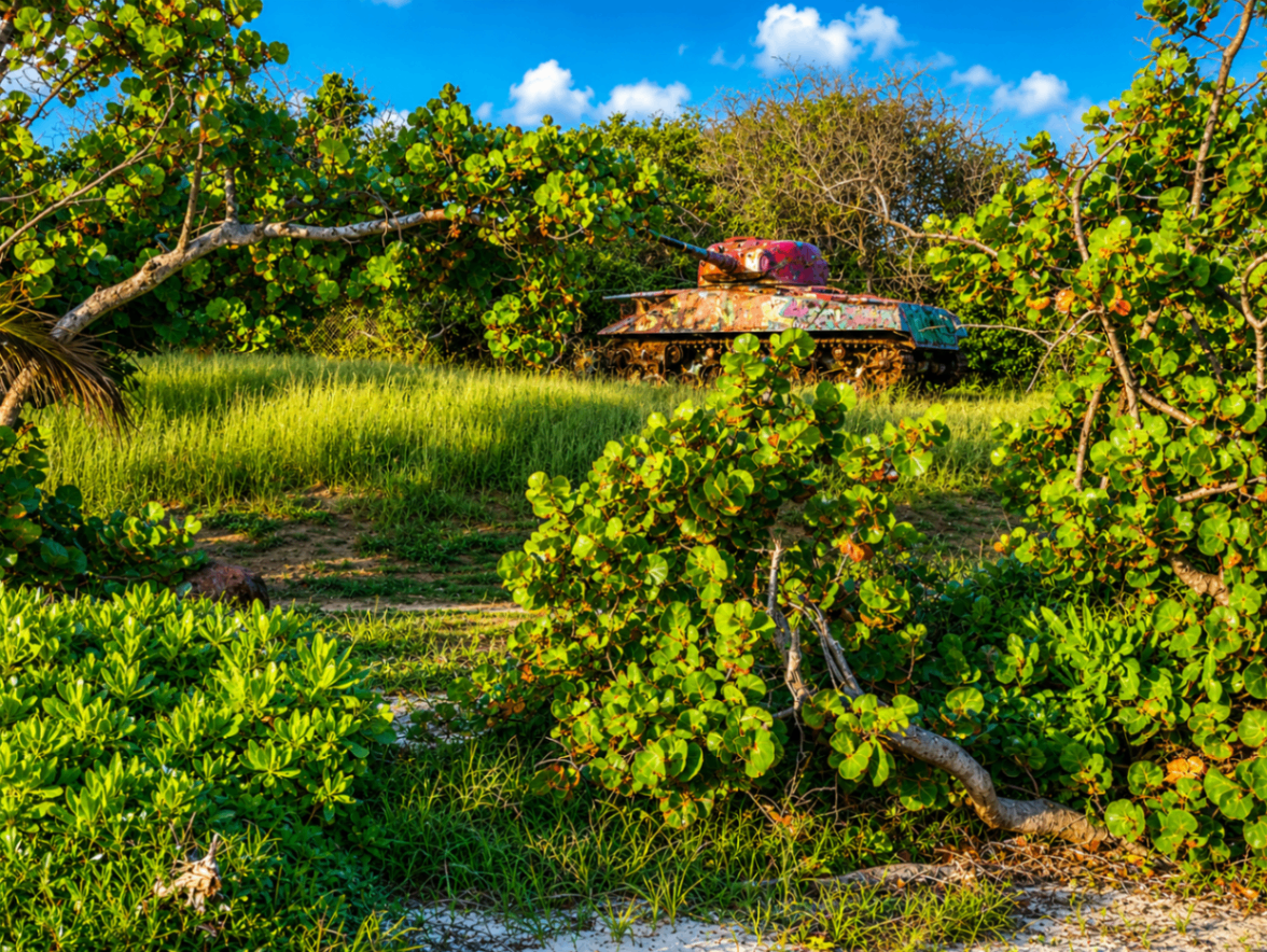 Flamenco Beach and El Muellecito 5