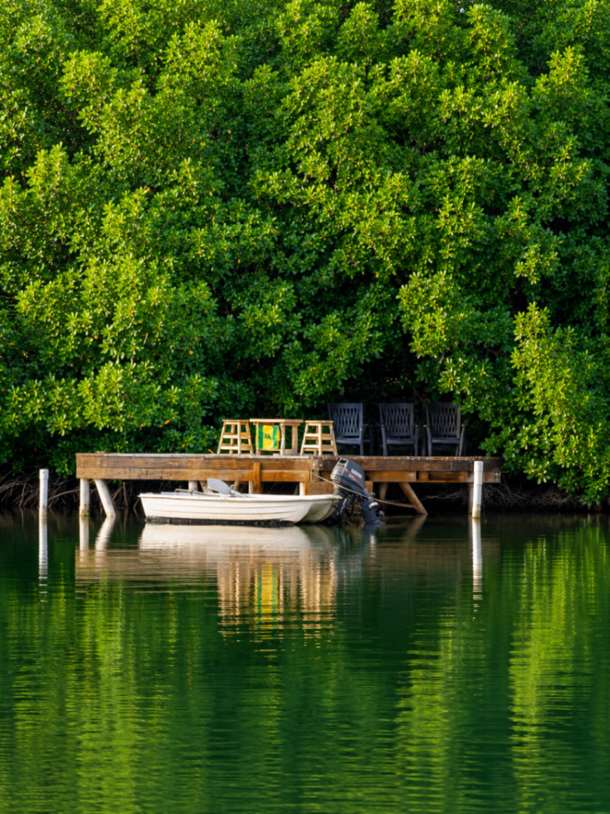 Mangrove deck and waterfront view 1